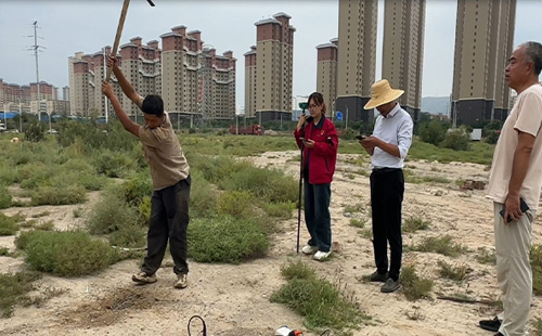 黄色看片APP下载中的挑战与对策：确保地质数据的准确性与全面性