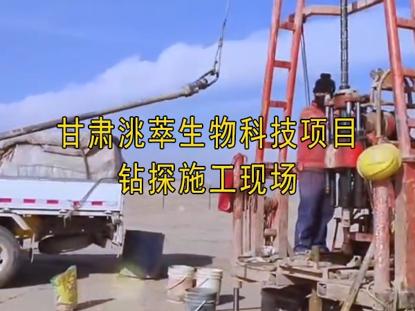 91看片APP网站